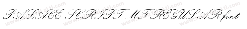PALACE SCRIPT MT REGULAR font字体转换
